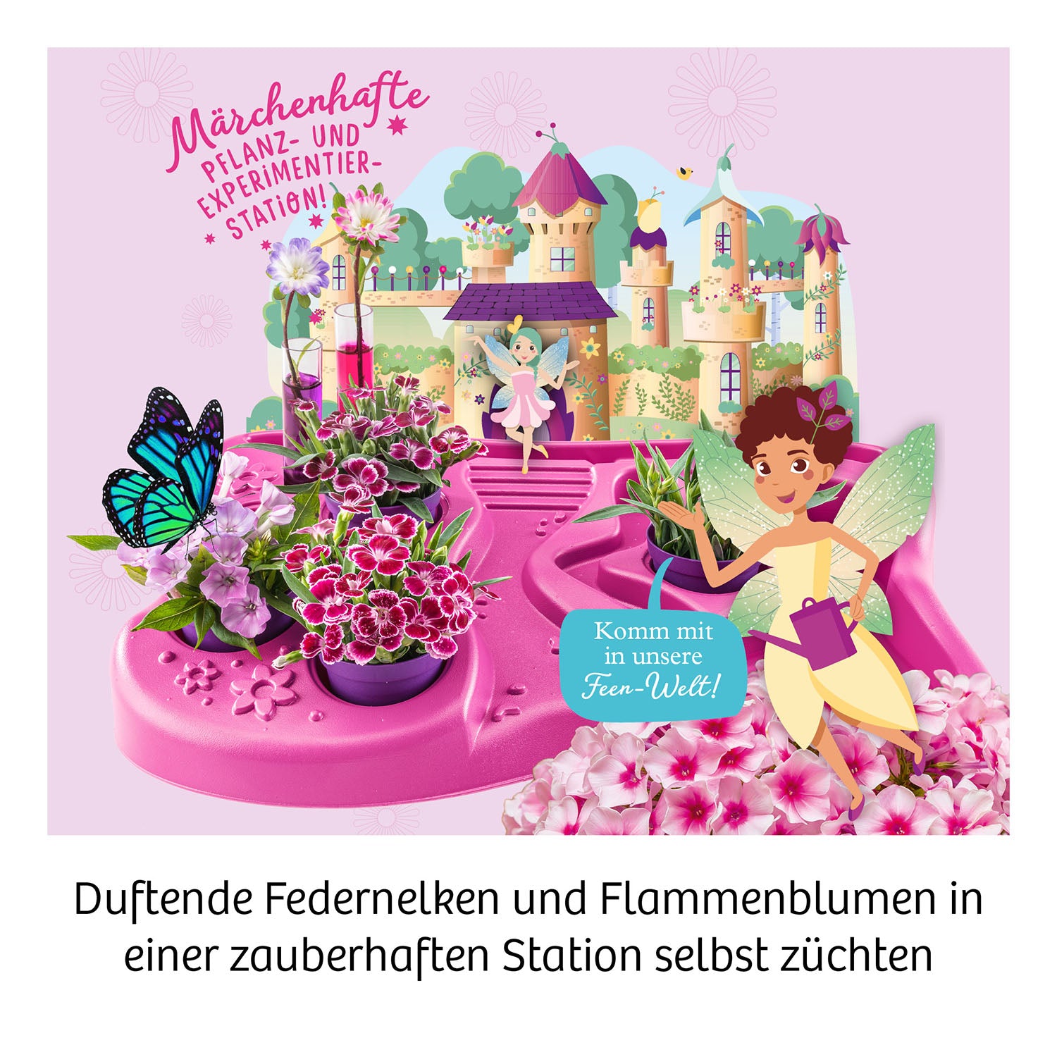 Fairy Garden