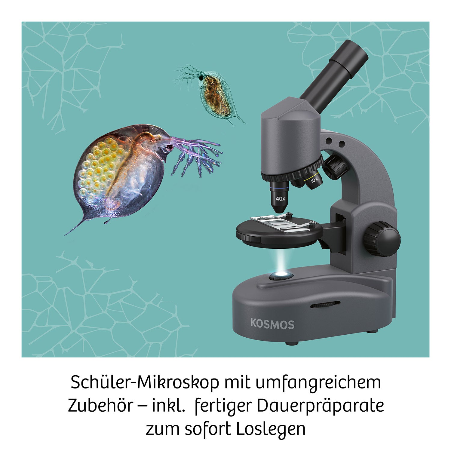 Mikroskop
