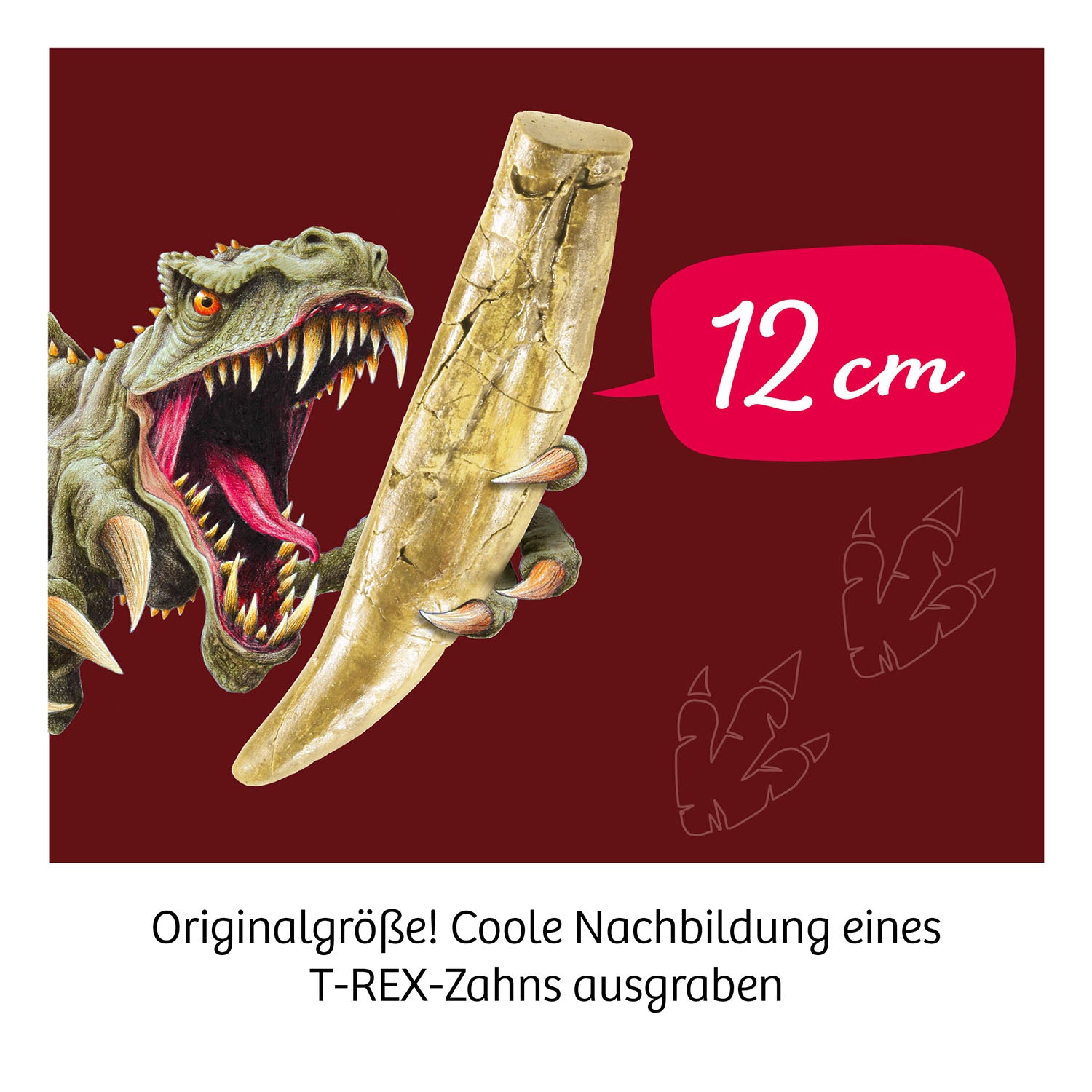 T-rex - Tooth