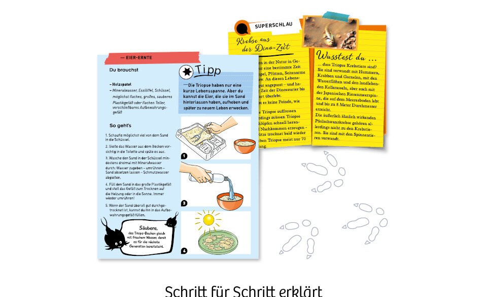 Gewusst wie!