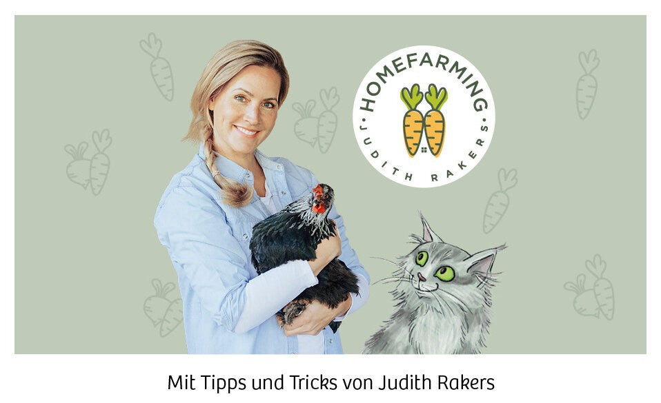 Tipps und Tricks