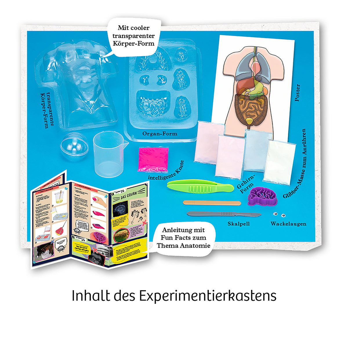 Fun Science Glibber-Organe