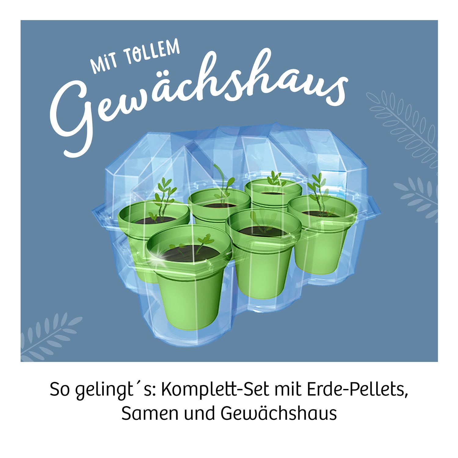 Mimosen-Garten