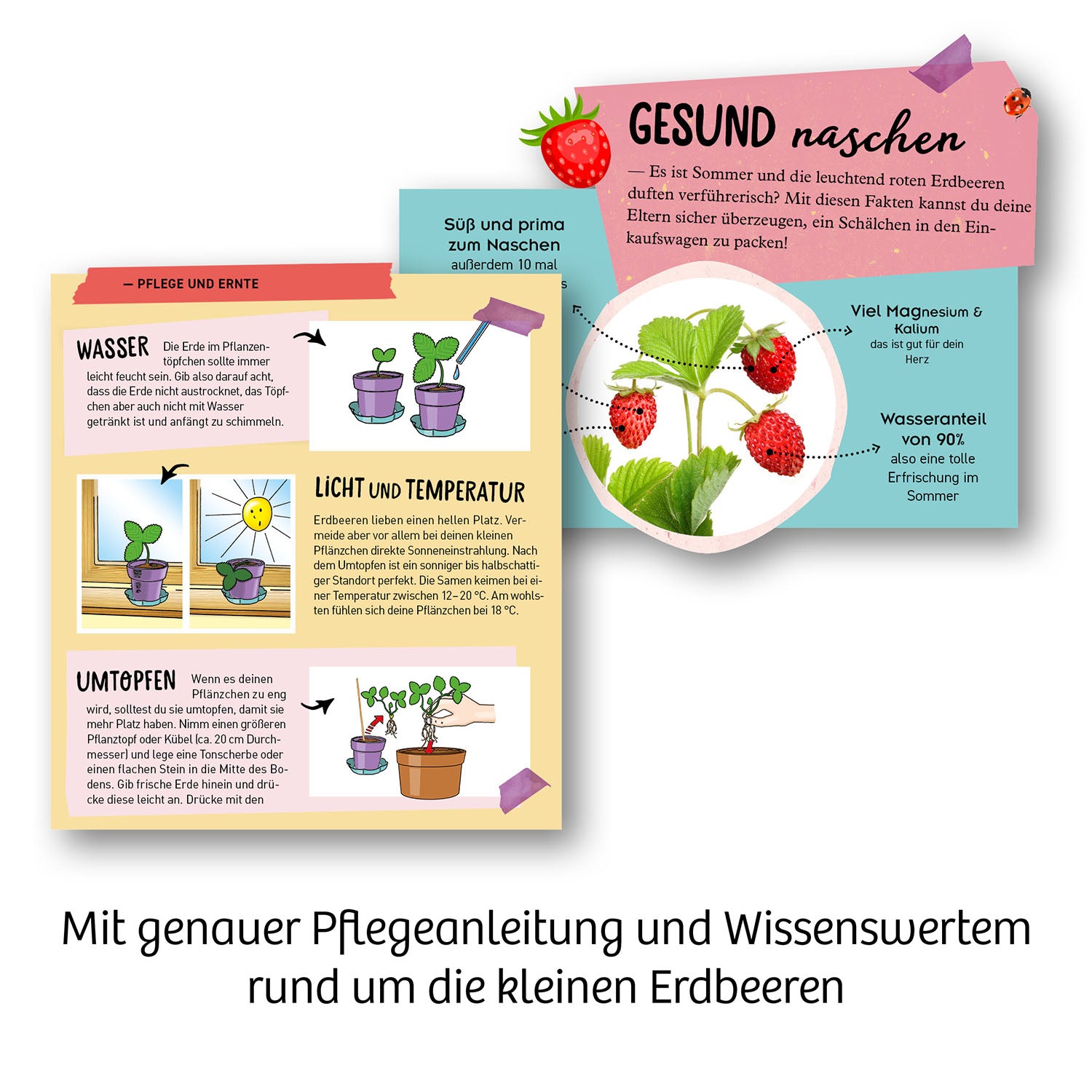Feen-Erdbeeren