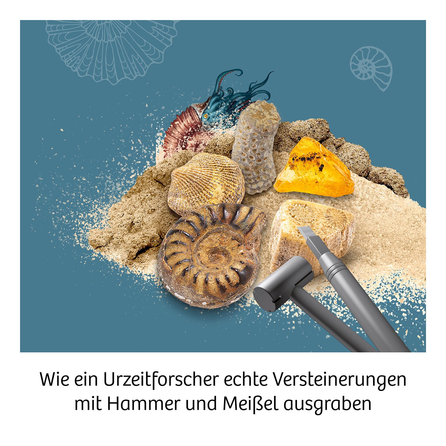 Fossilien