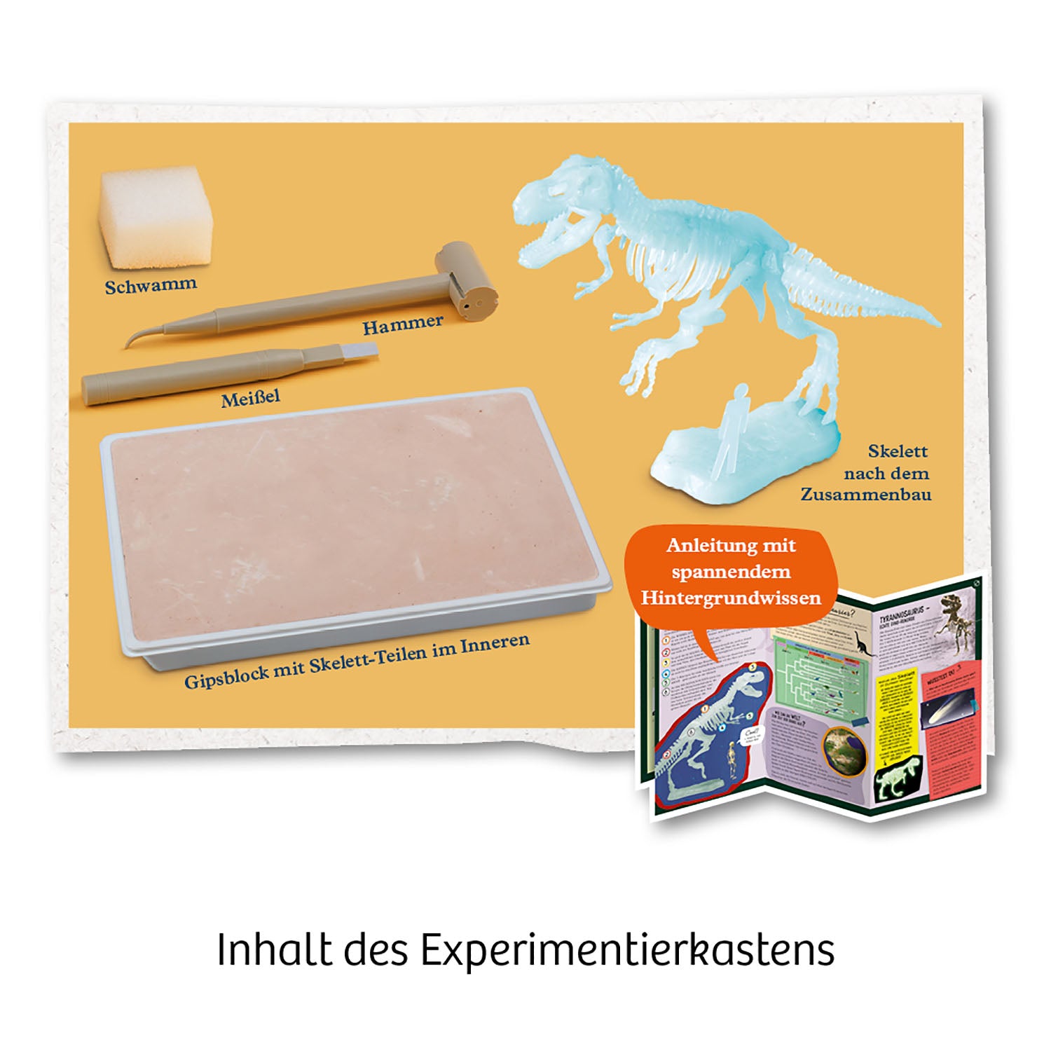 T-REX nachtleuchtend