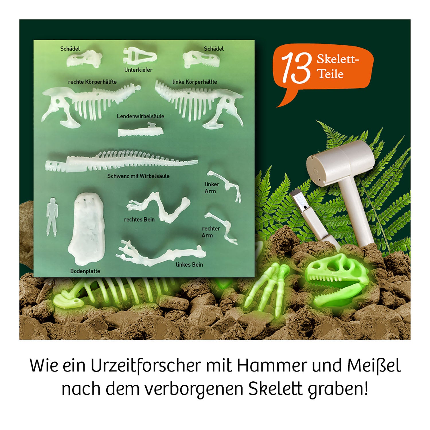 T-REX nachtleuchtend