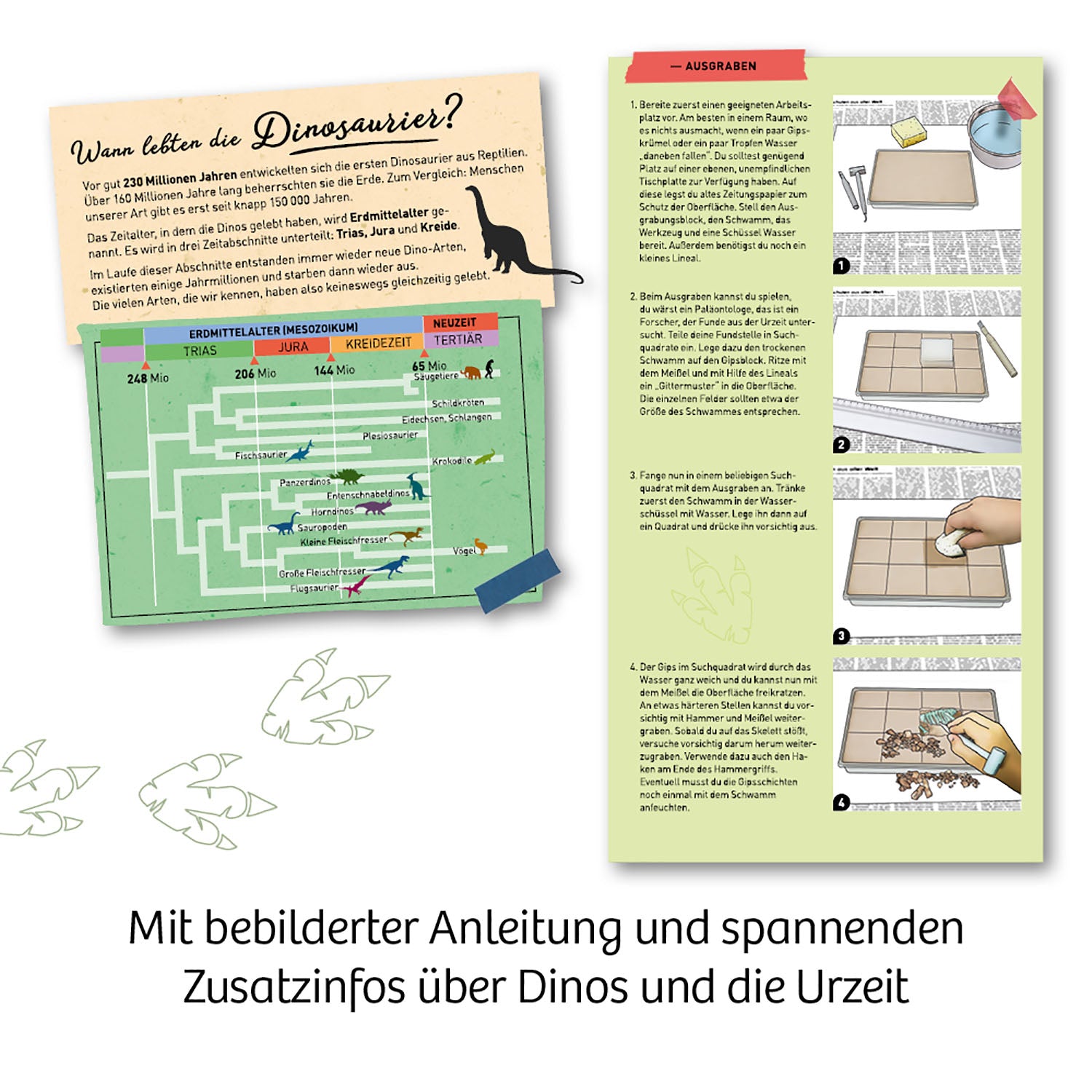 T-REX nachtleuchtend