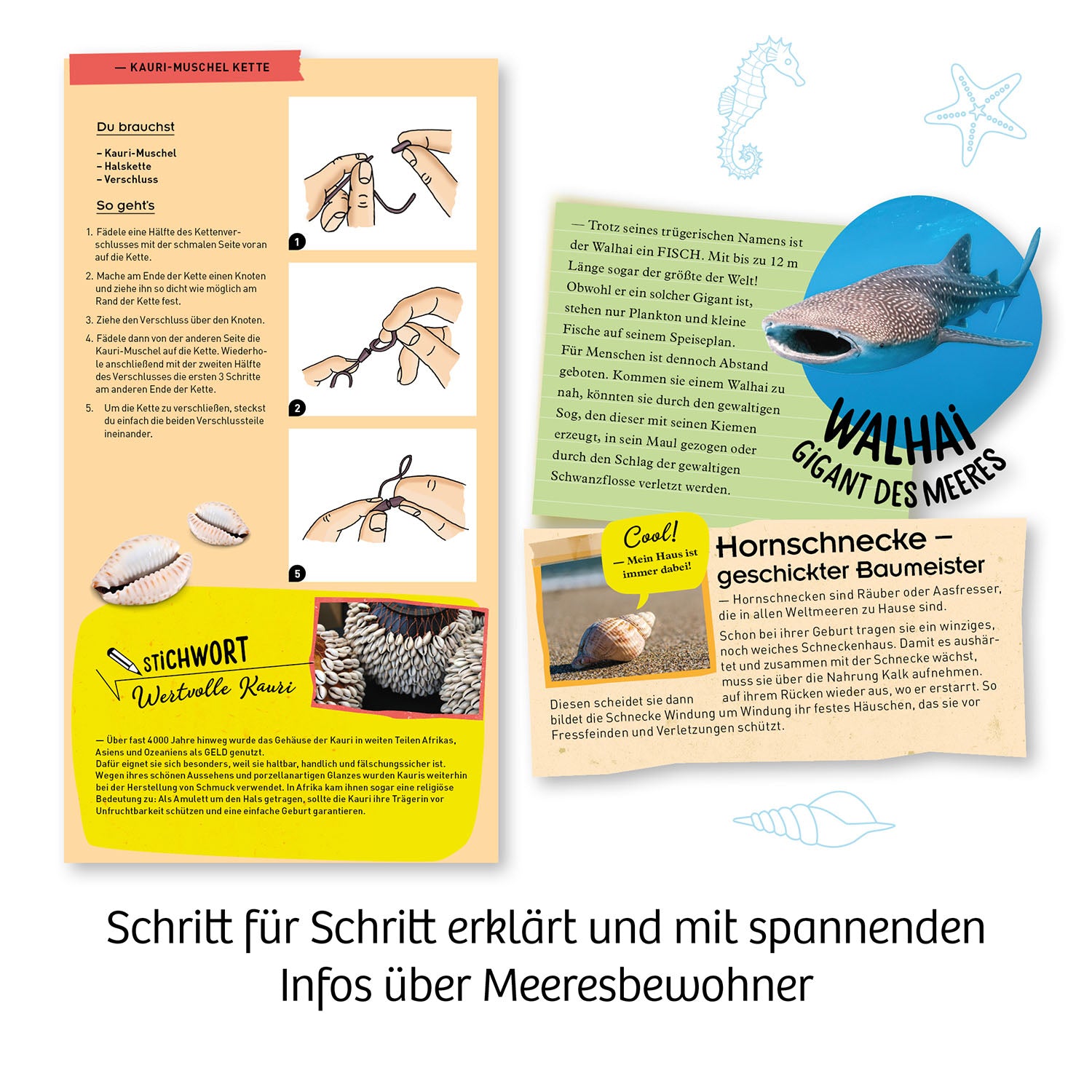 Meeres-Abenteuer