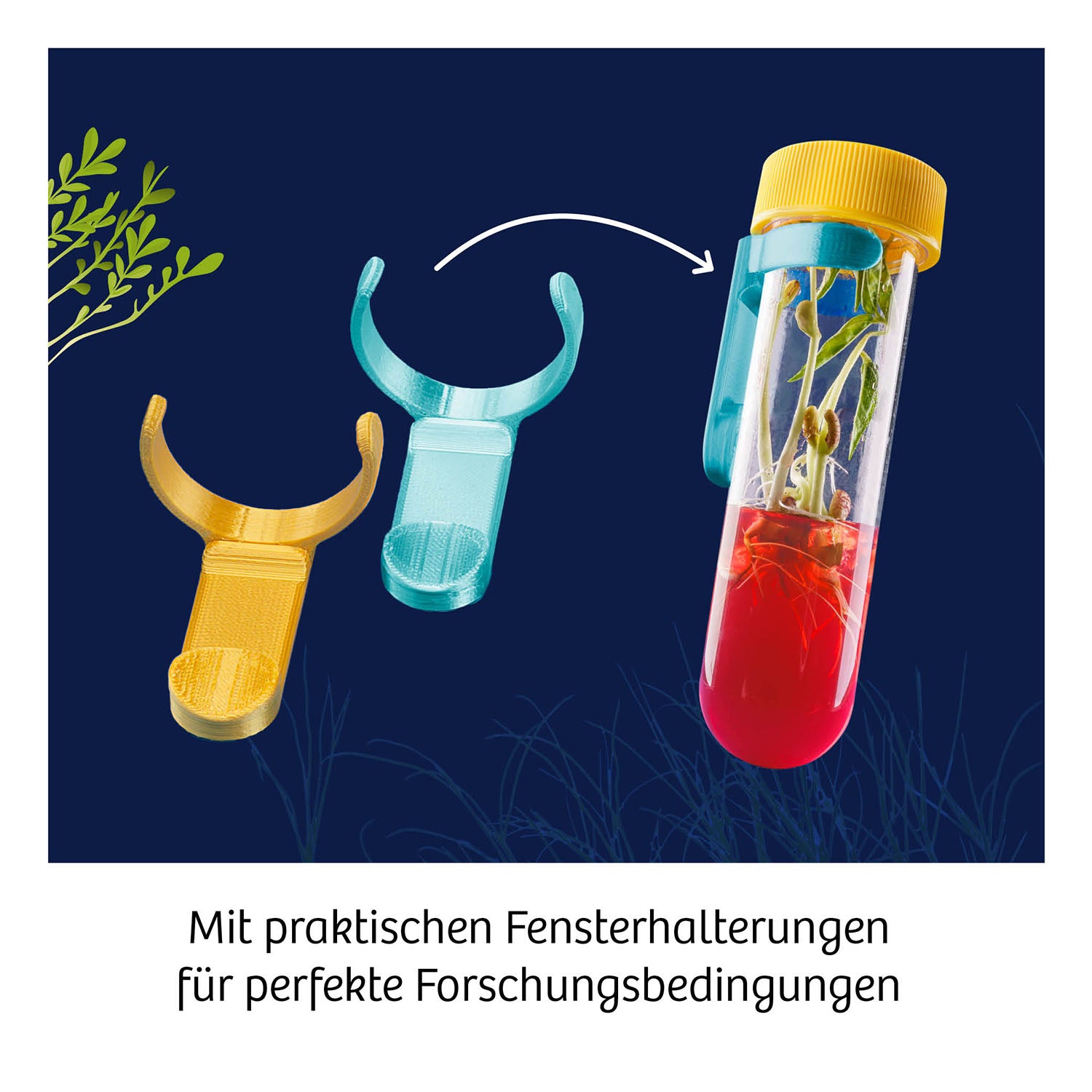 Fun Science Aqua-Gel-Pflanzen