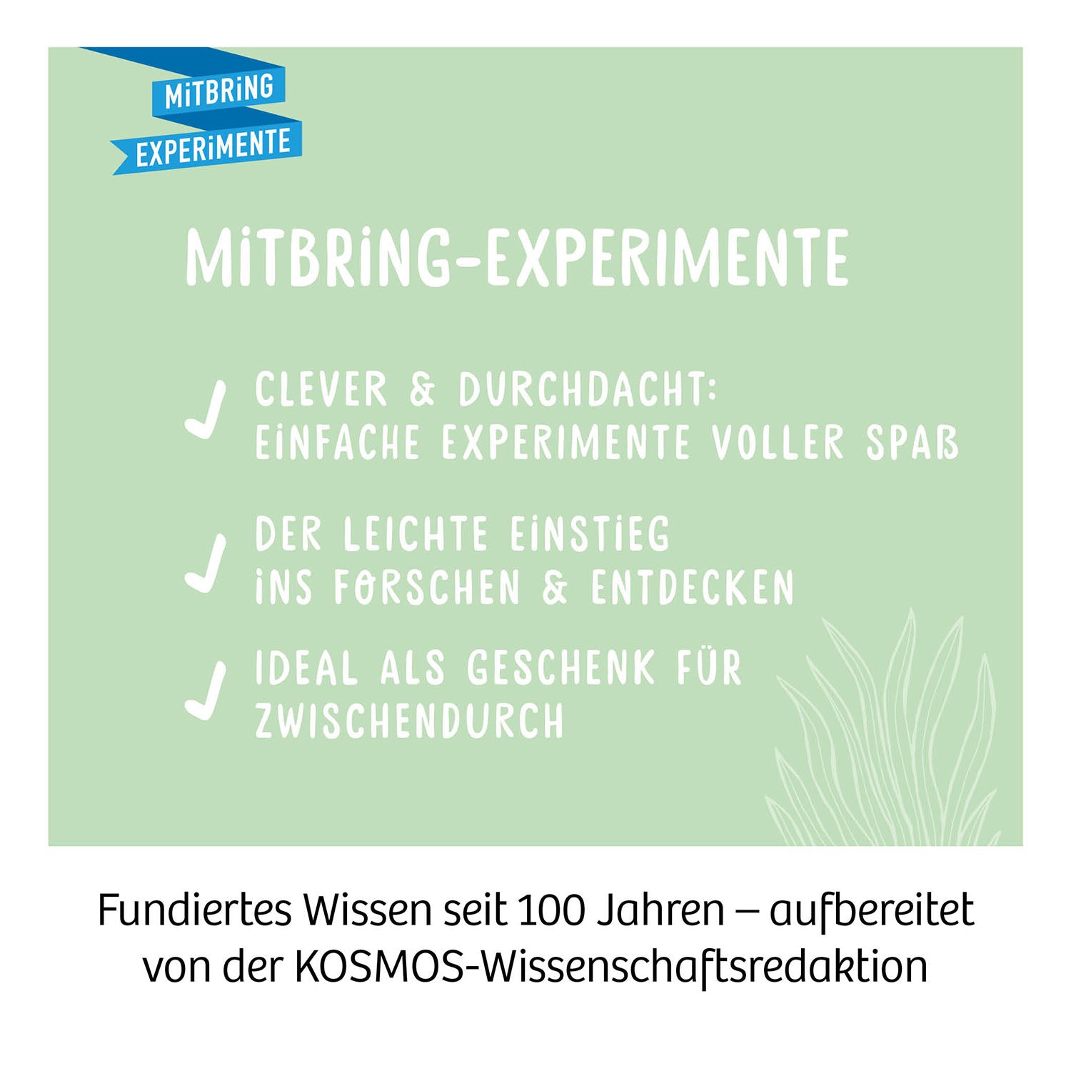 Kakteen-Wüste