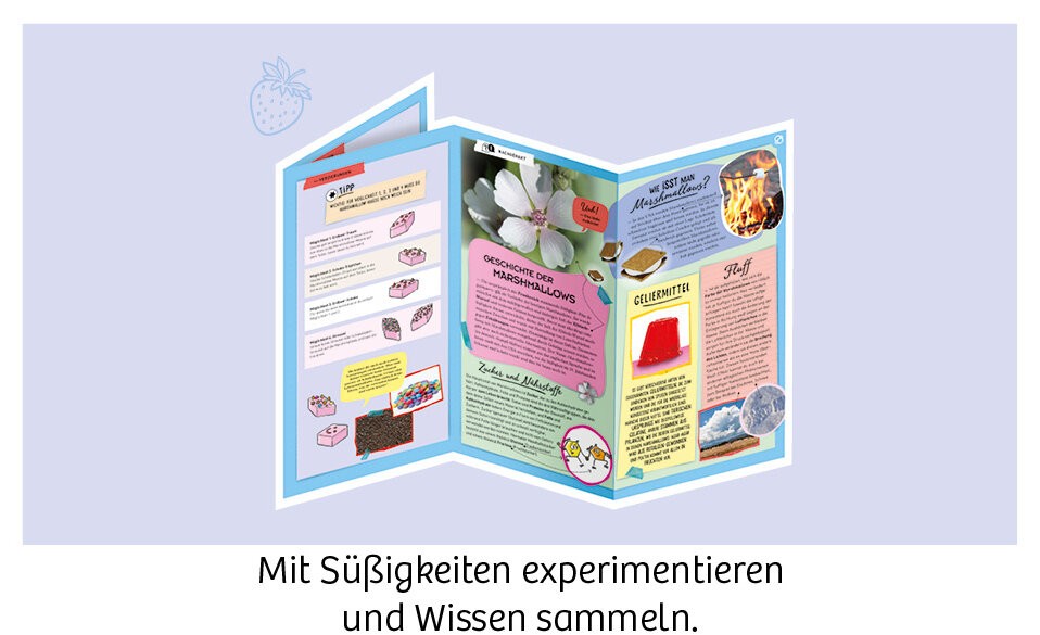 Schritt-für-Schritt- Anleitung mit farbigen Illustrationen