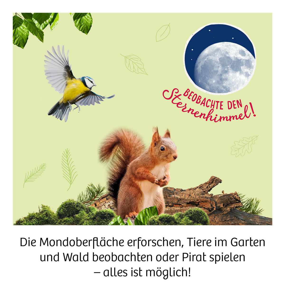 Fernrohr