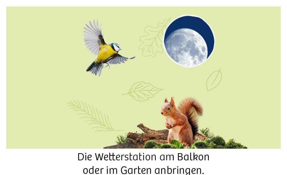 Egal ob Mond, Sterne oder Tiere