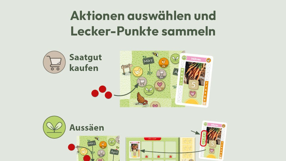 Saatgut kaufen & Aussäen