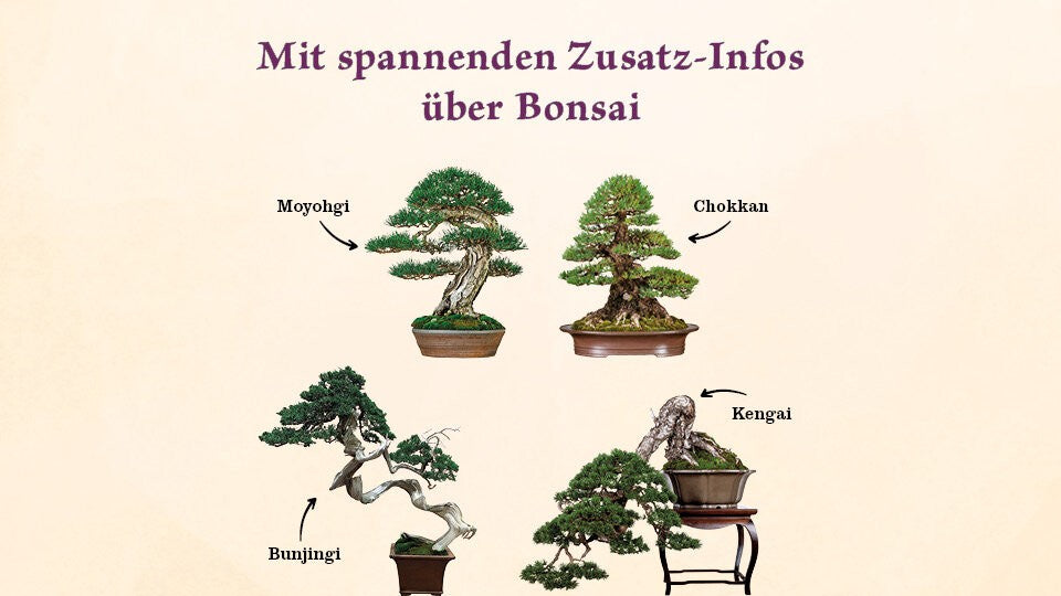 Spannende Infos