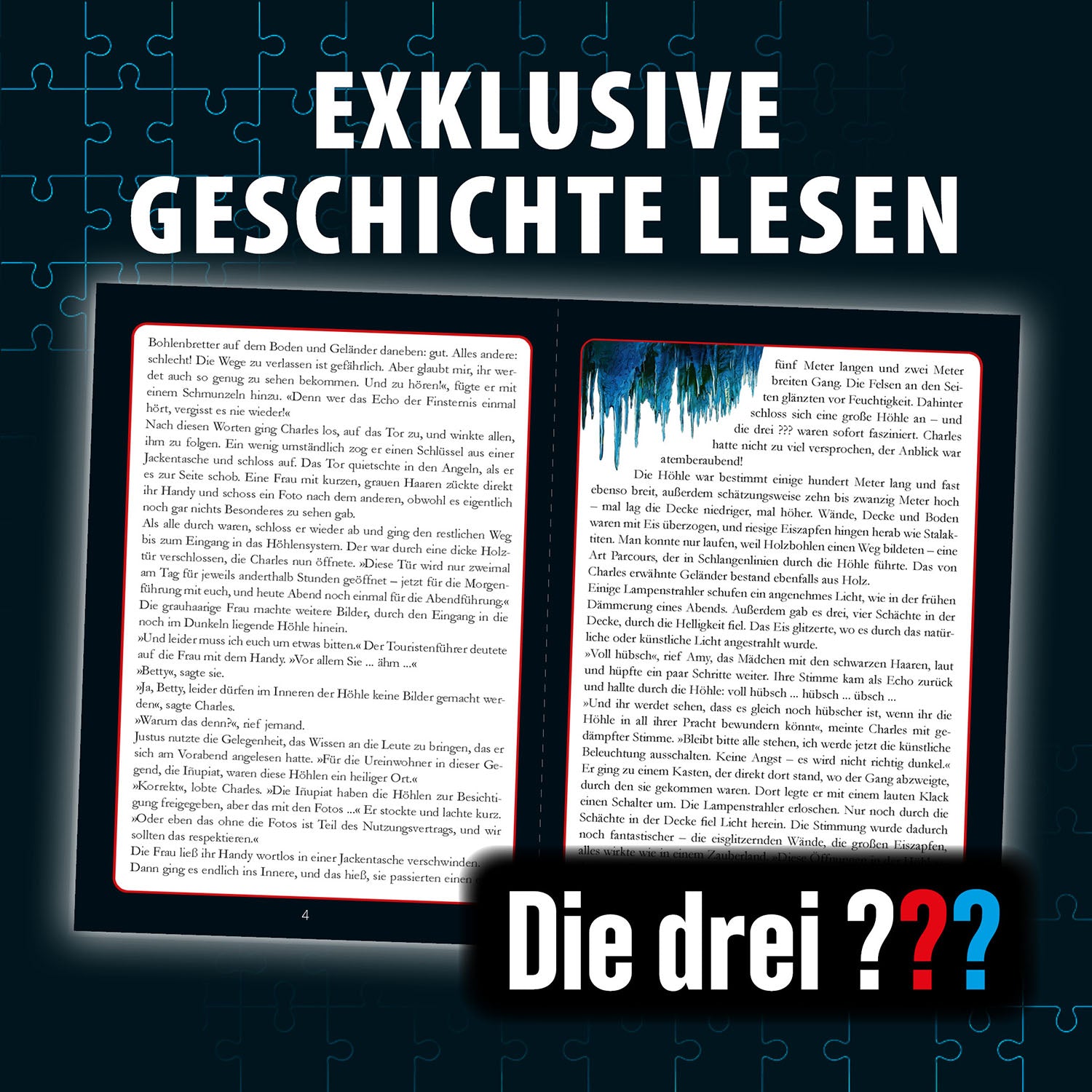 Krimi-Puzzle: Die drei ??? - Das Echo der Finsternis