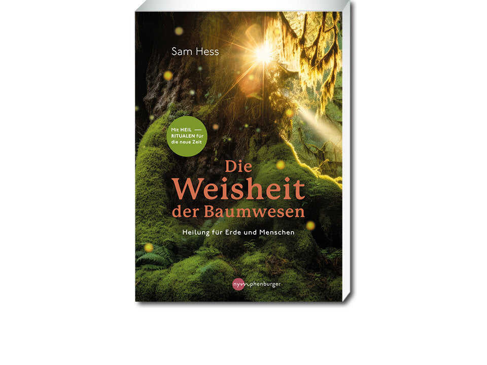 Die Weisheit der Baumwesen Banner