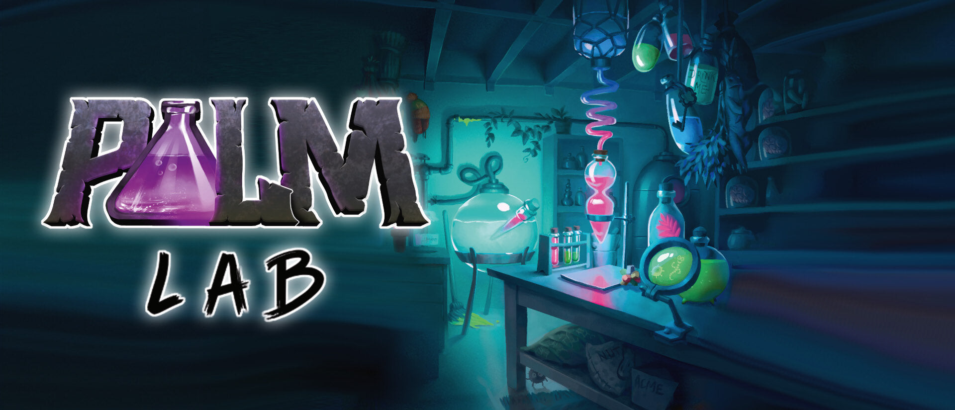 Palm Lab Banner
