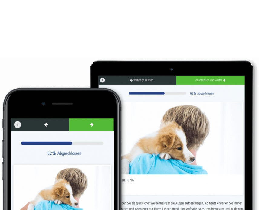 Ob auf dem Smartphone oder am Desktop