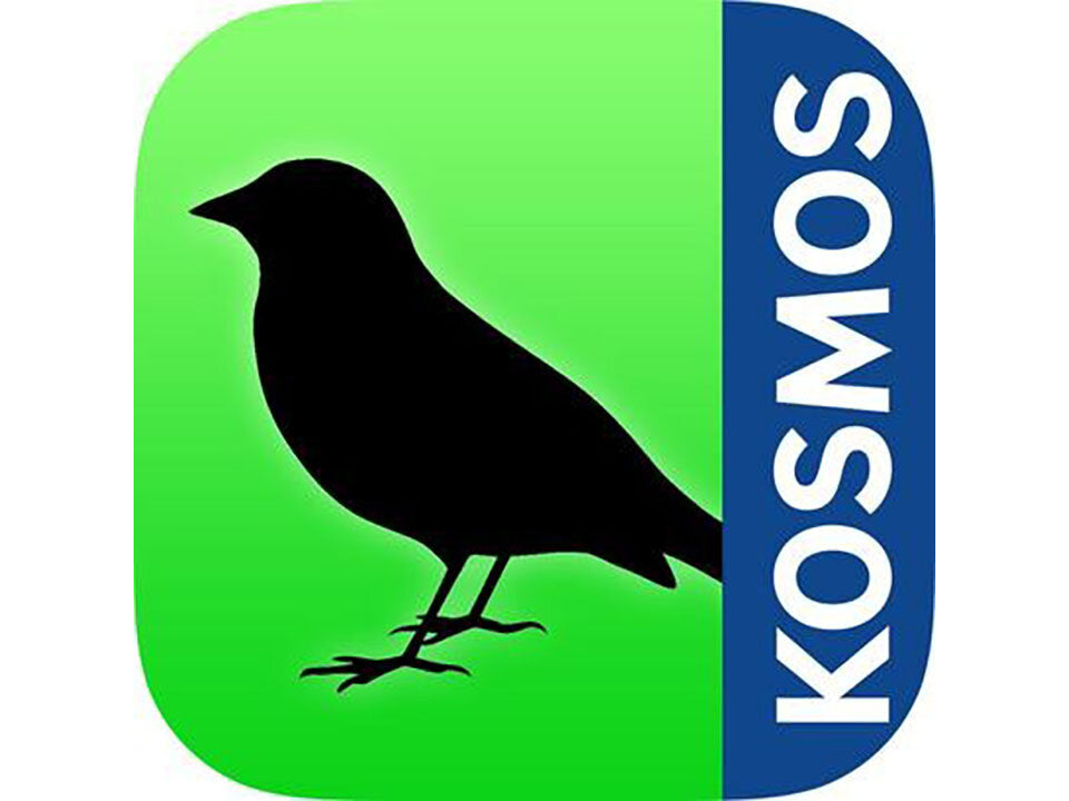 Vögel Europas bestimmen – Was fliegt denn da