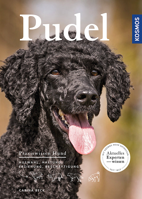 Poodle