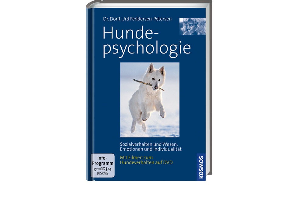 Tiefgehende Einblicke