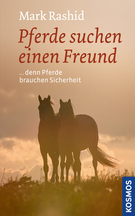 Horses are looking for a friend