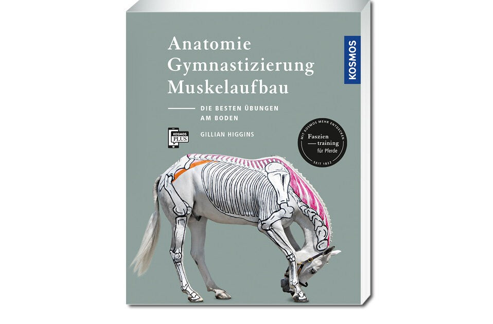 Die besten Übungen am Boden
