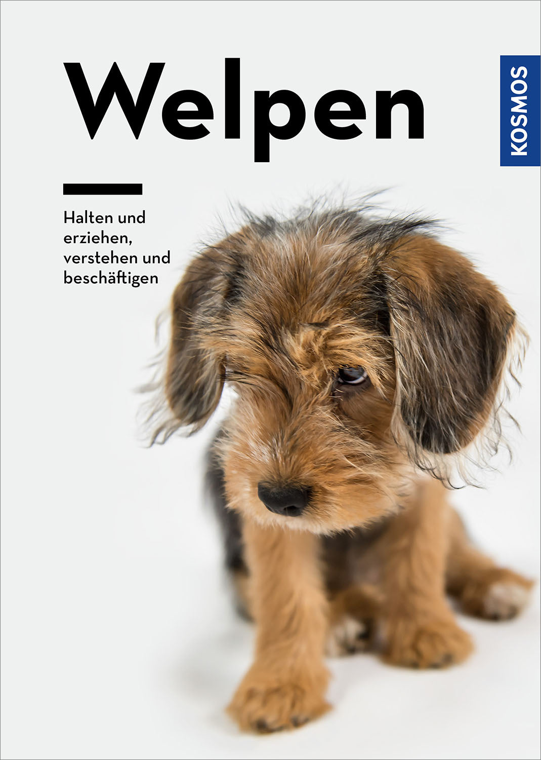 Puppies