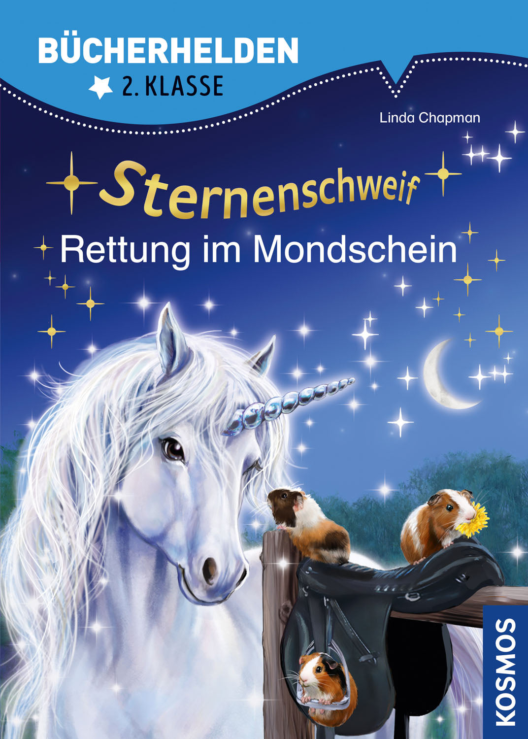 Star Tail, Book Heroes 2nd Grade, Rescue in Moonlight