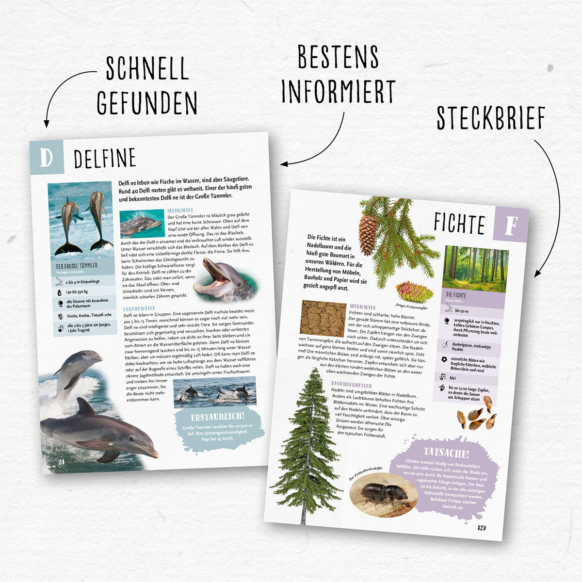 Mein Kosmos Grundschullexikon Tiere & Pflanzen