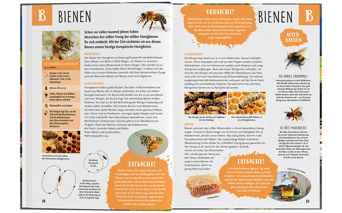 Mein Kosmos Grundschullexikon Tiere & Pflanzen