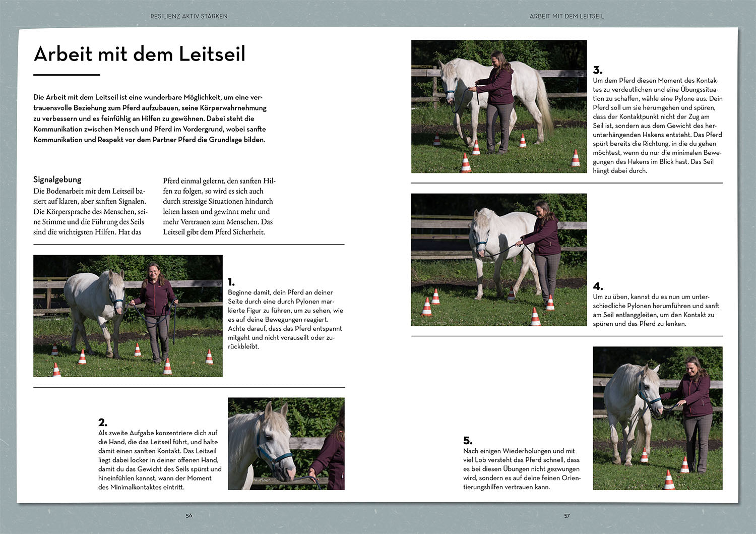 Resilience in Horses