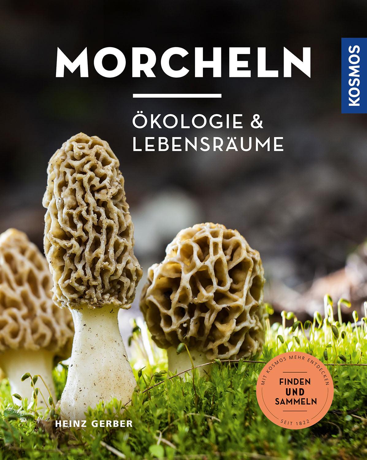 Morels