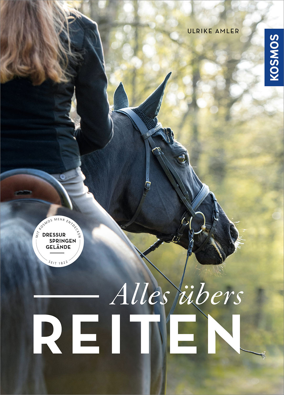 All About Horse Riding