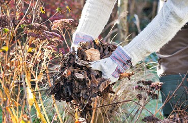 Gartenarbeit: weniger ist mehr