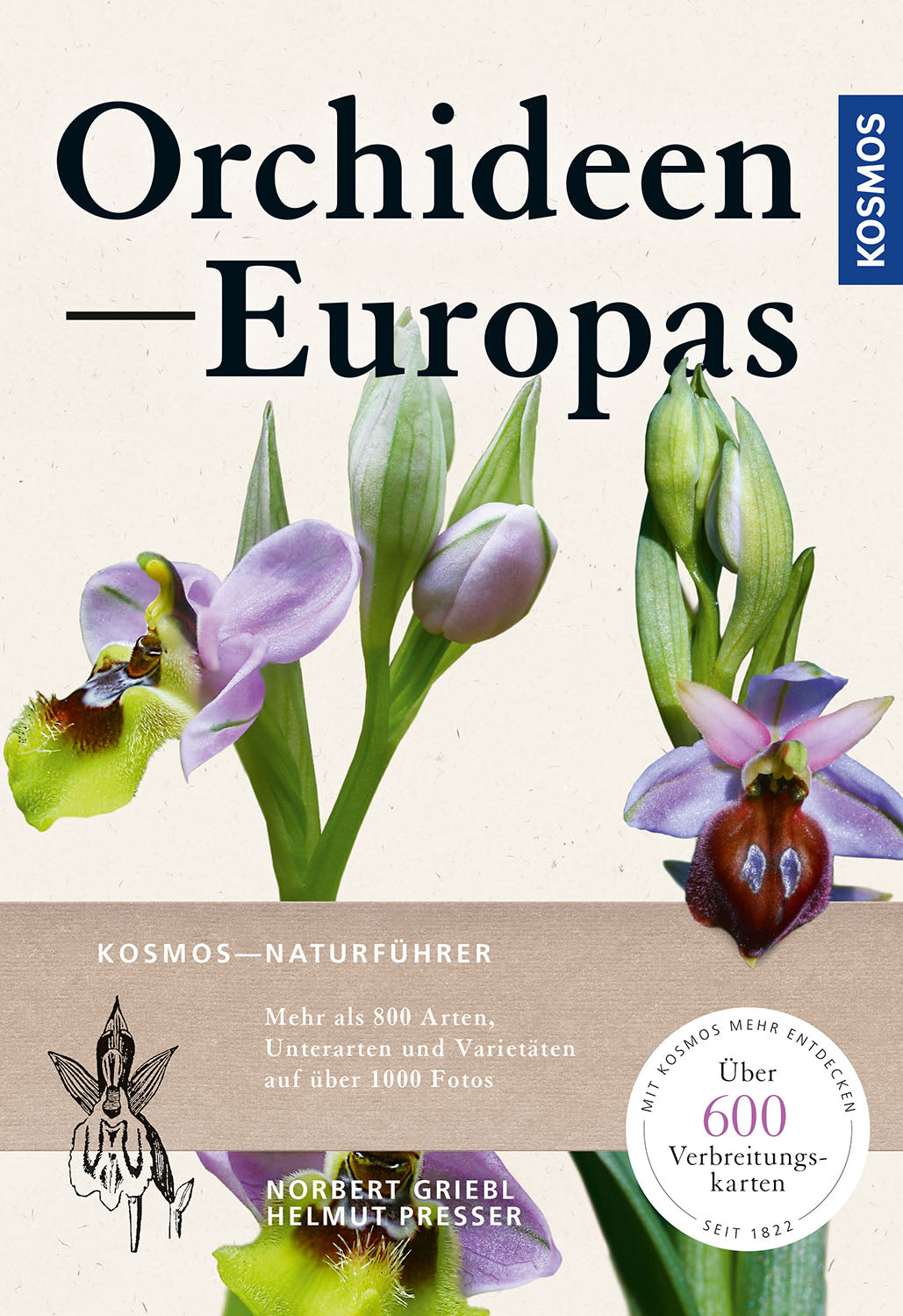 Orchids of Europe