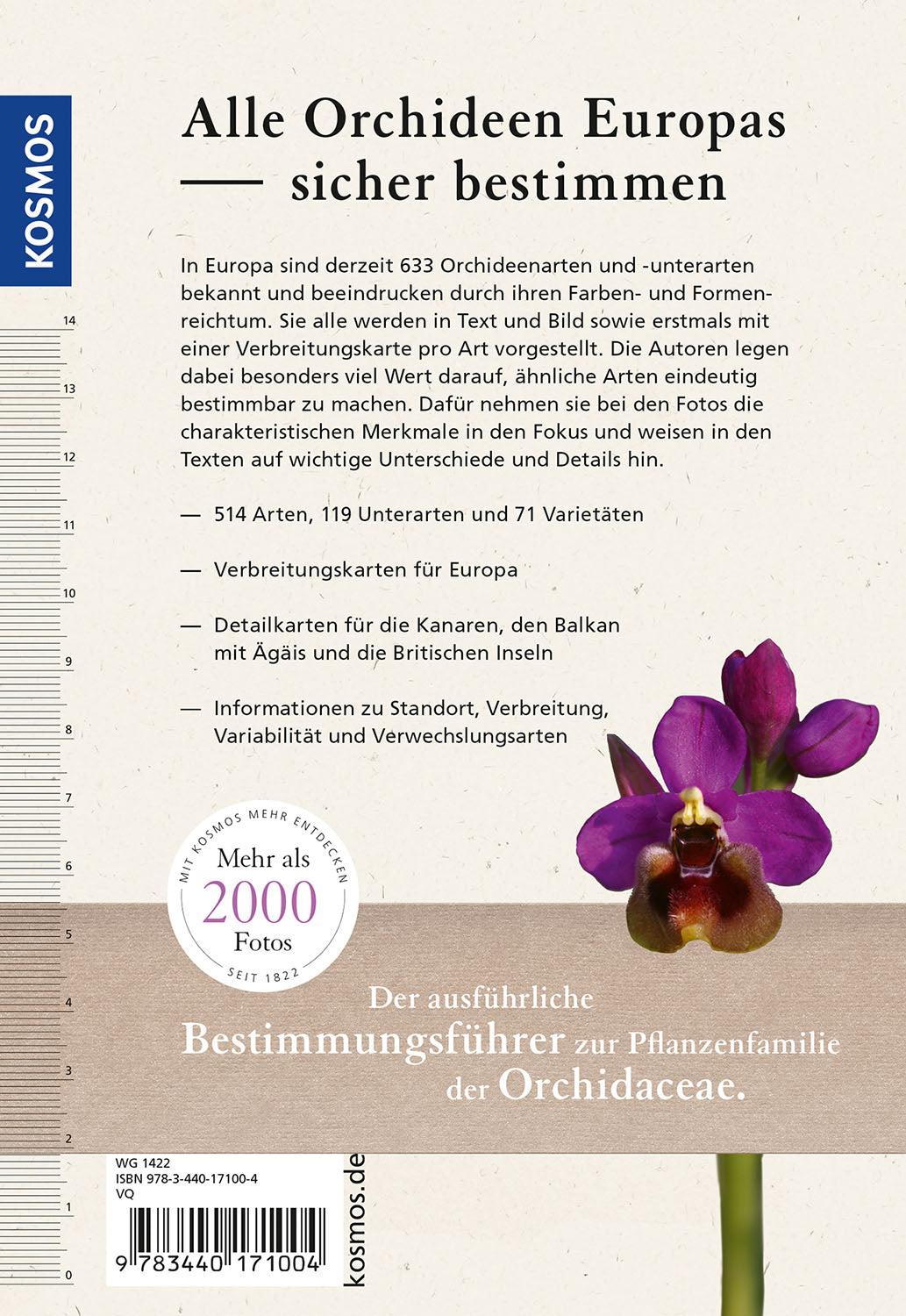 Orchids of Europe
