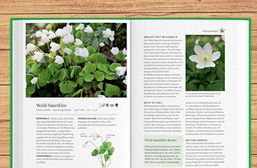 Essbare Naturschätze sammeln