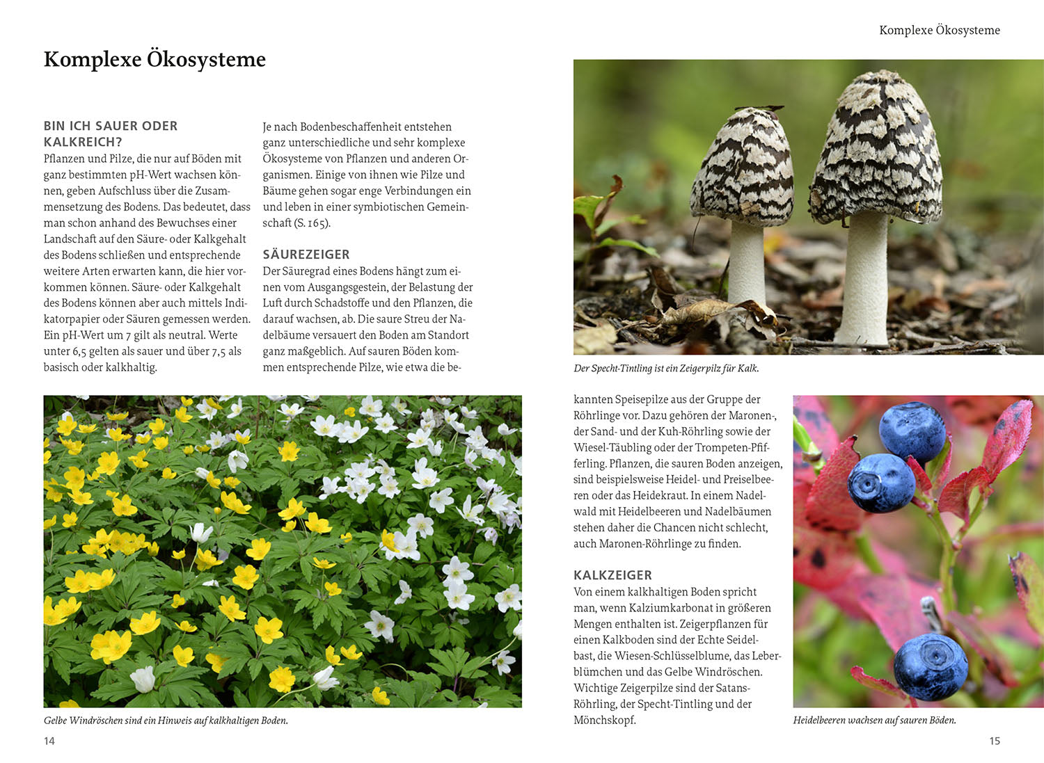 Our Edible Nature