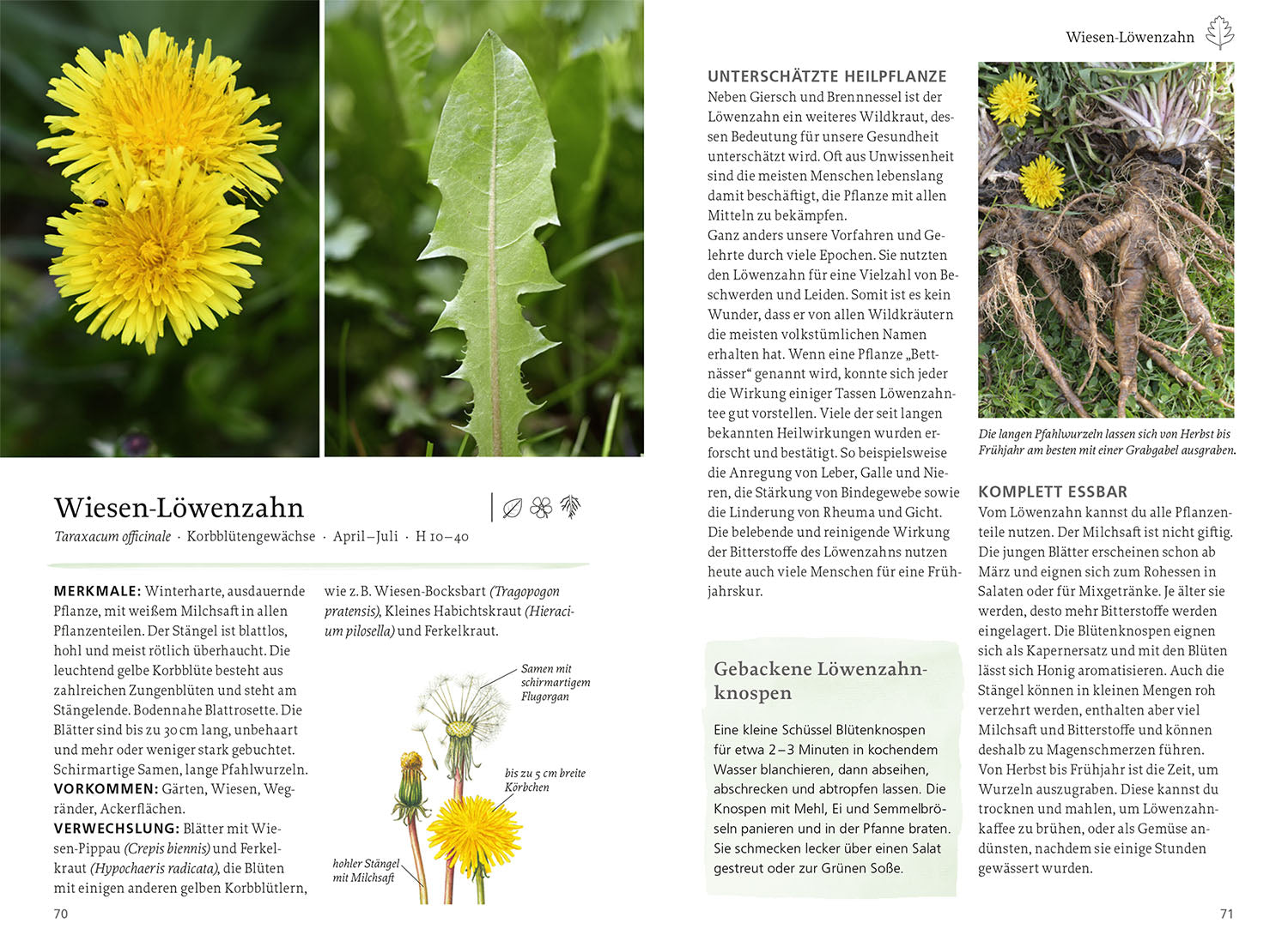Our Edible Nature