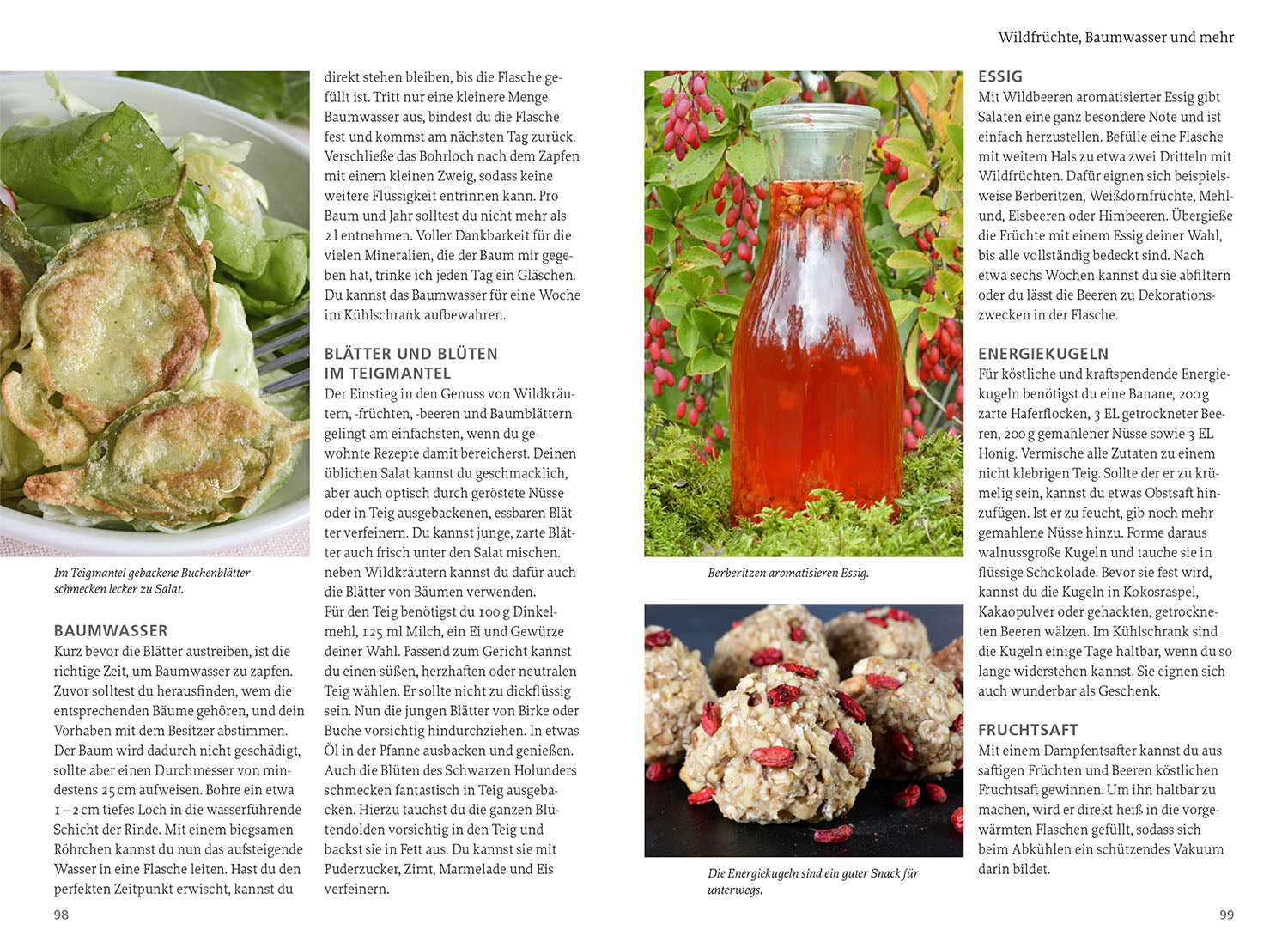 Our Edible Nature