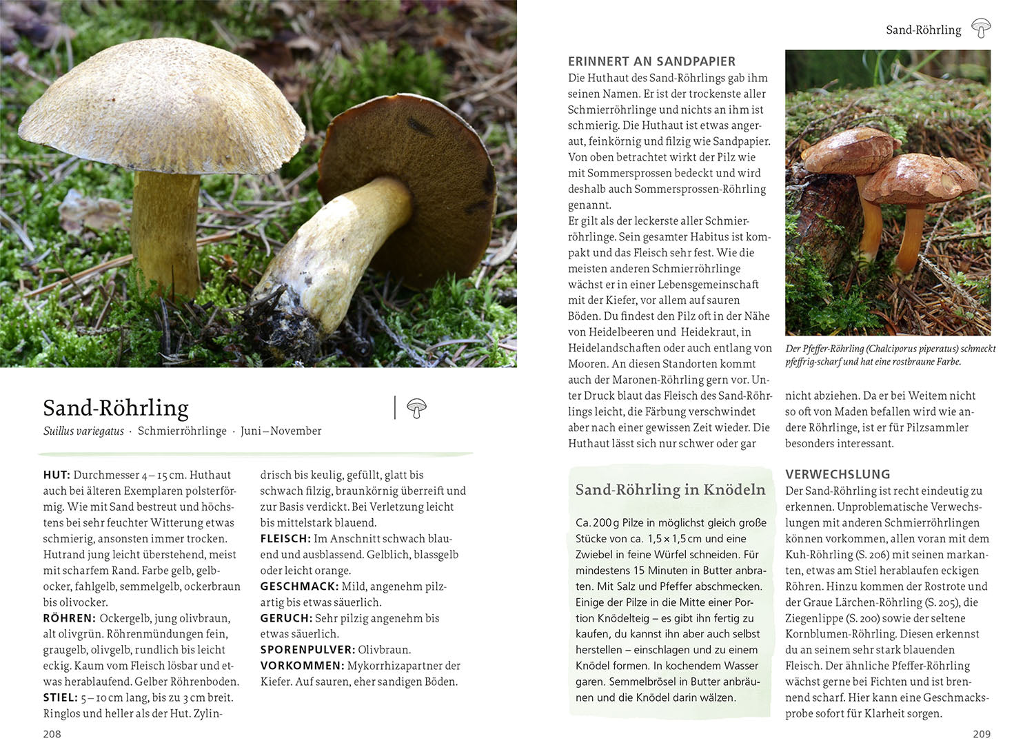Our Edible Nature