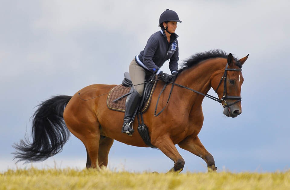 Reiten lernen