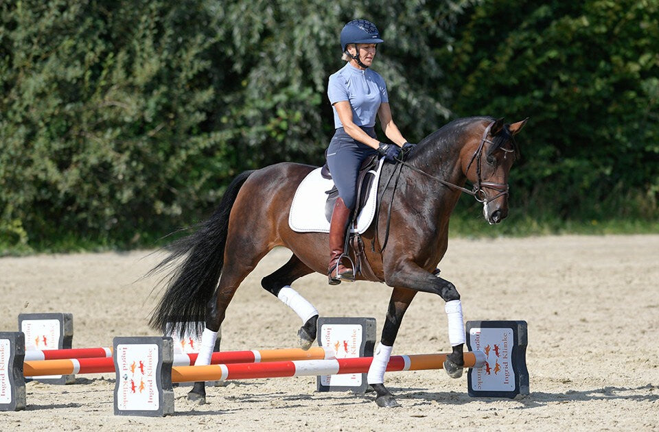 Positive Effekte des Cavaletti-Trainings