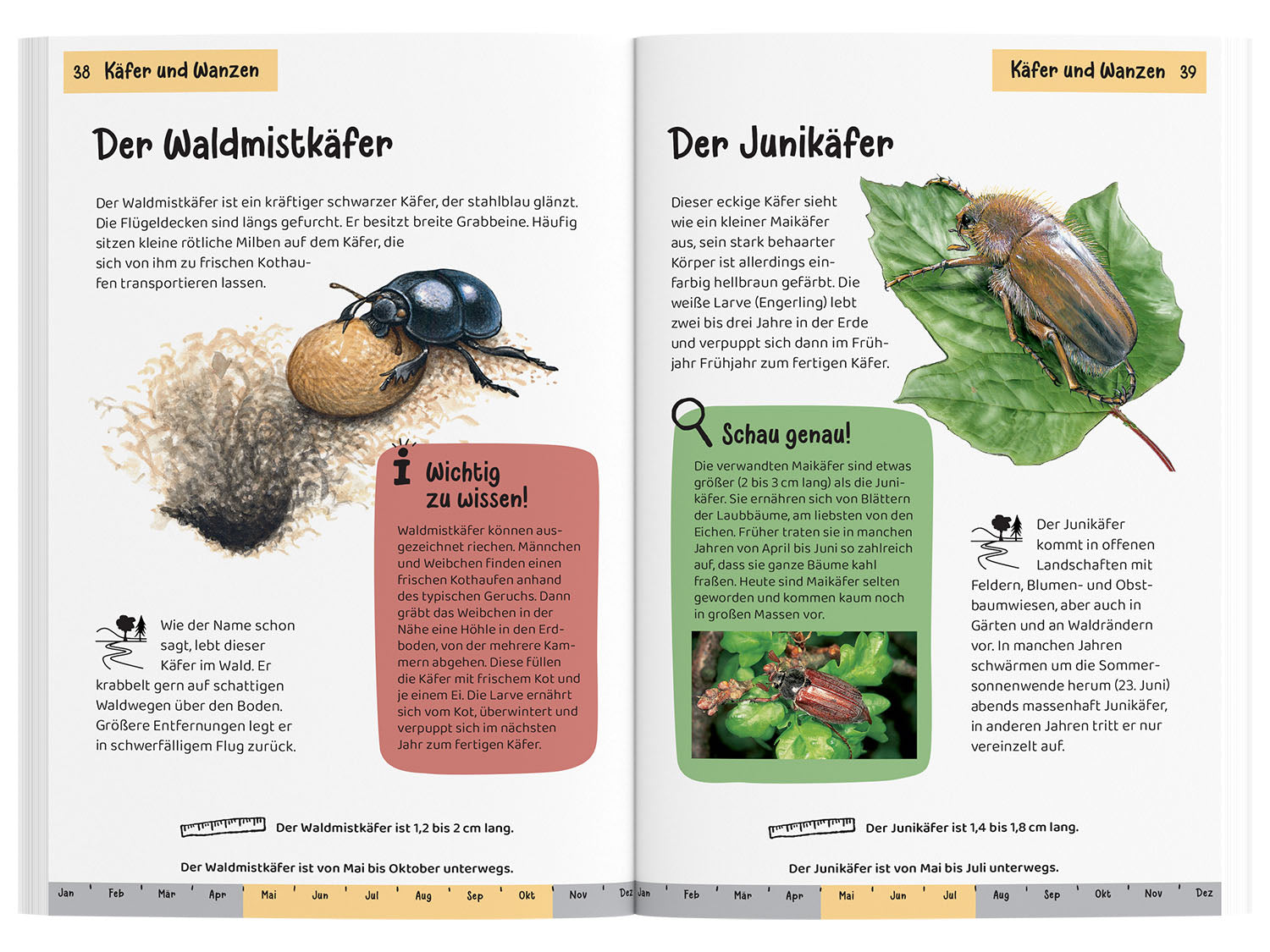 KOSMOS What's Crawling There? A Nature Guide for Children Aged 8 and Up