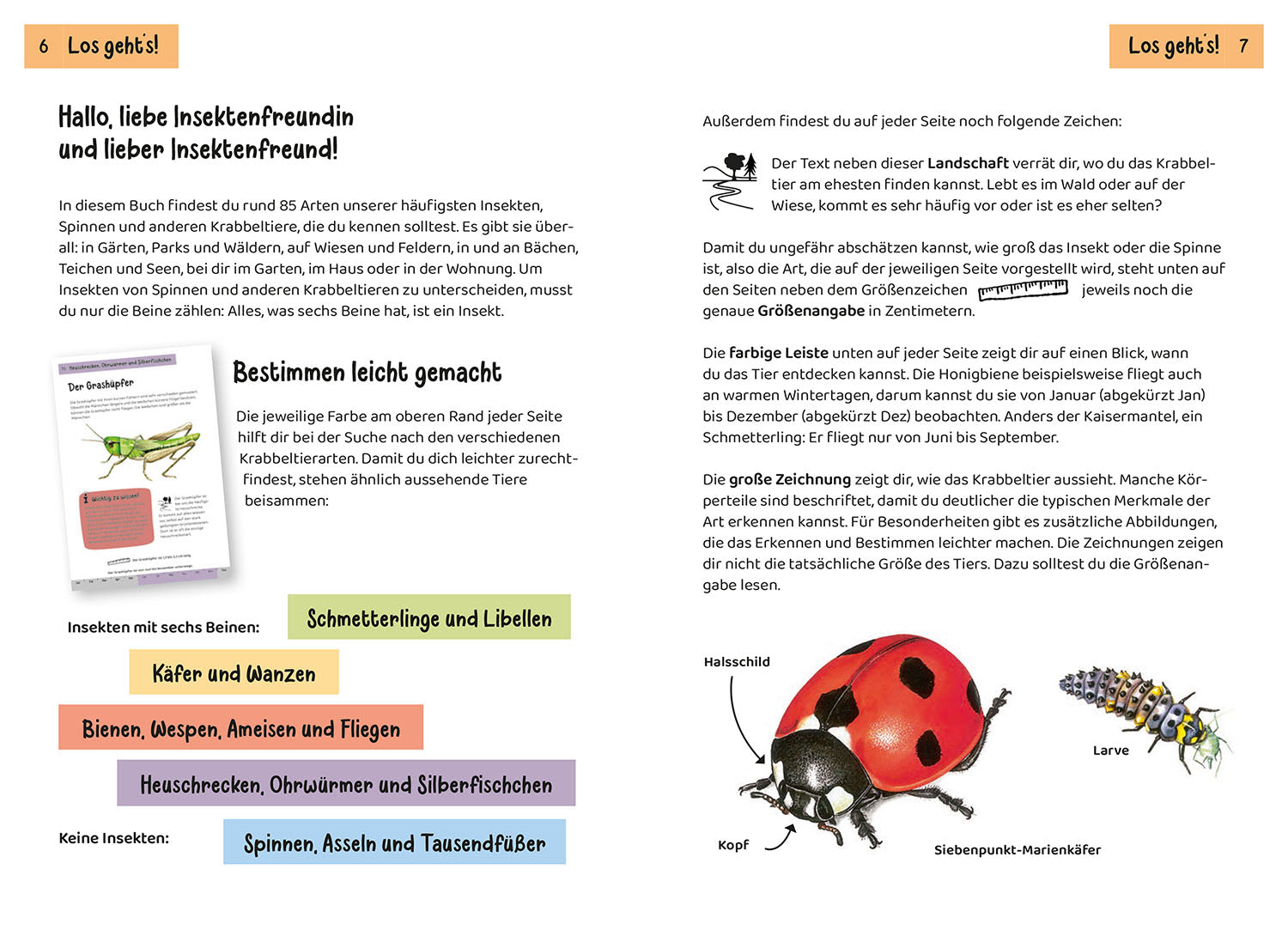 KOSMOS What's Crawling There? A Nature Guide for Children Aged 8 and Up