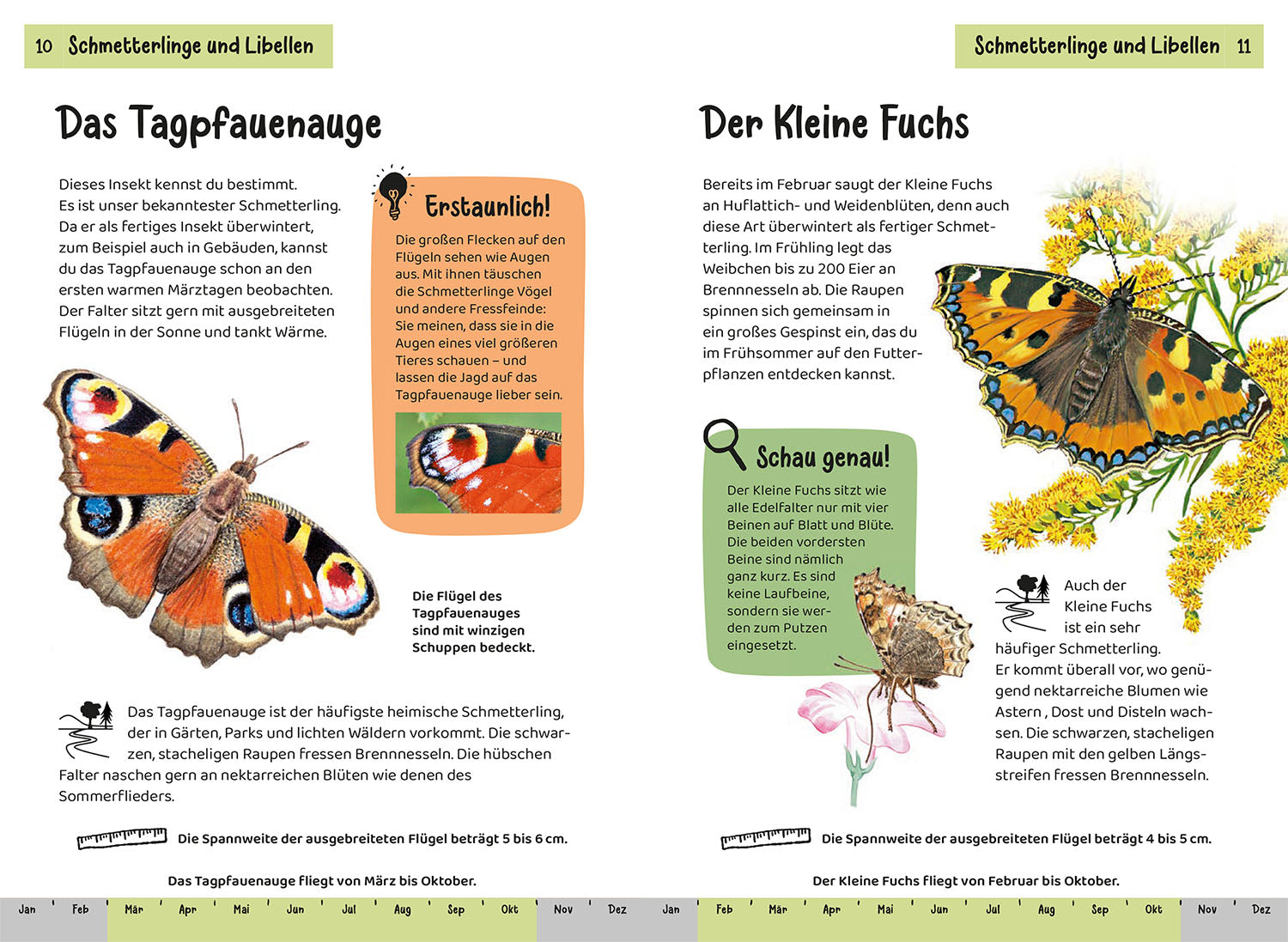 KOSMOS What's Crawling There? A Nature Guide for Children Aged 8 and Up