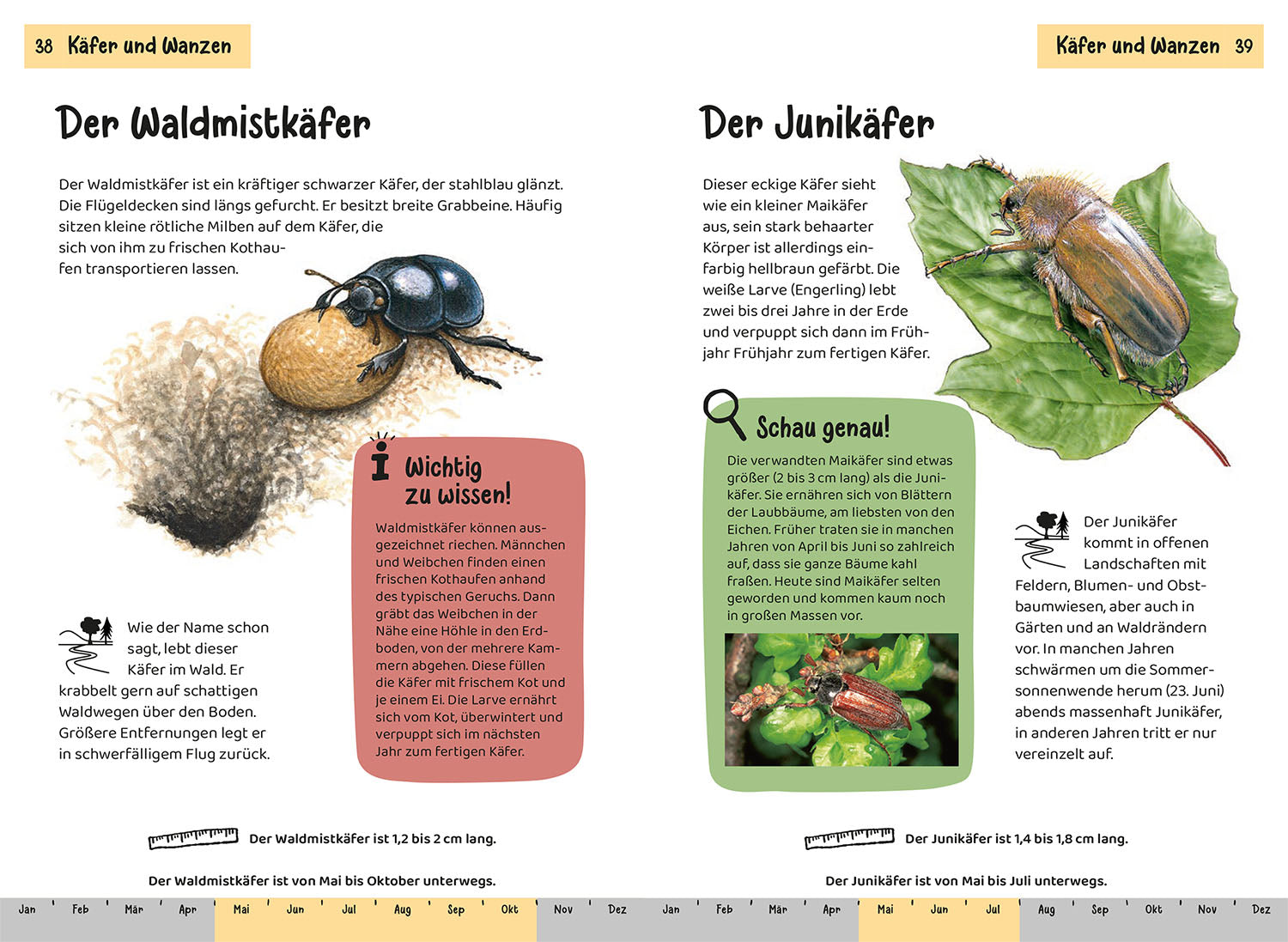 KOSMOS What's Crawling There? A Nature Guide for Children Aged 8 and Up